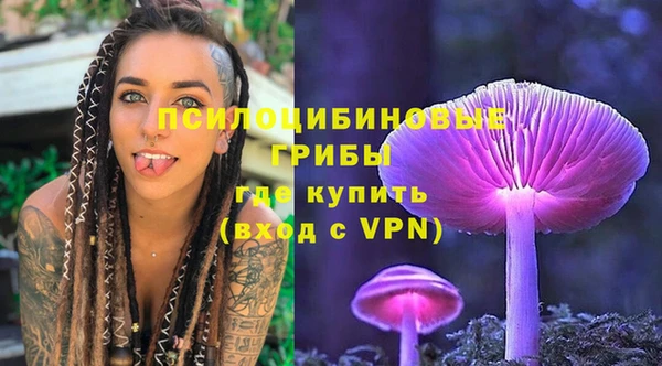 PSILOCYBIN Карталы