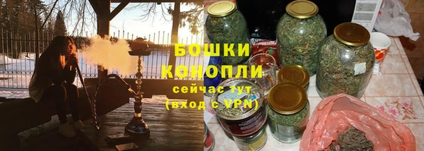 PSILOCYBIN Карталы