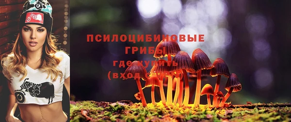 PSILOCYBIN Карталы