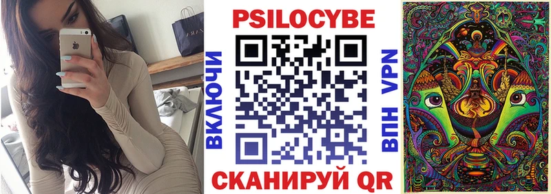 Купить где  Давлеканово  Галлюциногенные грибы Psilocybe 